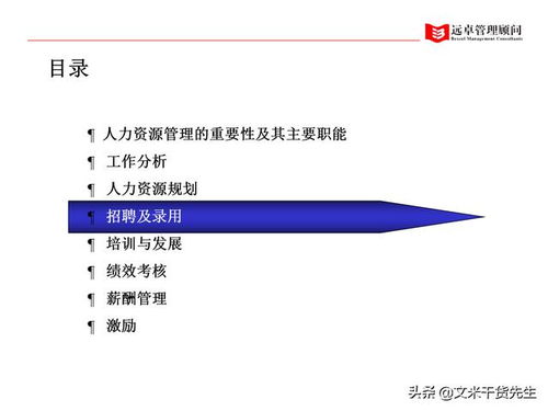 知名咨询公司客户案例 100页人力资源管理的全面提升,系统完整