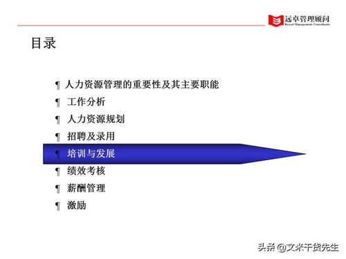 知名咨询公司客户案例 100页人力资源管理的全面提升,系统完整