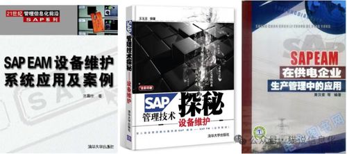 从拥有专业书的情况看国内外erp软件厂商的生态差异