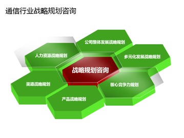 通信行业管理咨询