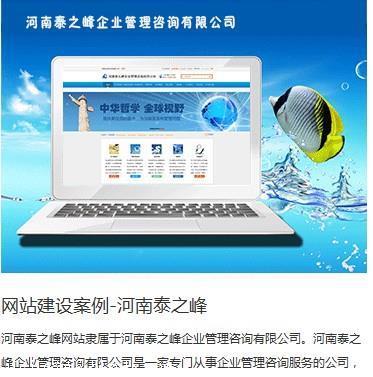 【焦作网站开发实力排行榜/网站开发实力哪家强/高端网站建设公司】价格,厂家,网站建设-搜了网