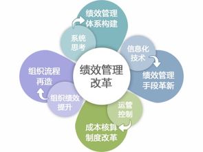 慧扬 医院管理咨询 绩效管理咨询