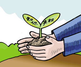 一起专利纠纷引发的深思
