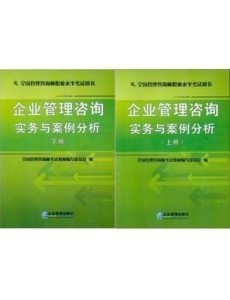 【批发 2013年全国管理咨询师职业水平考试教材 一套2本】价格,厂家,图片,大众图书,梅州市博望图书-