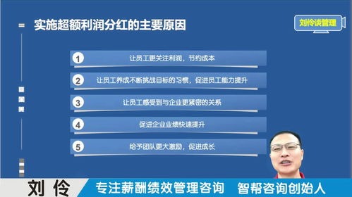 薪酬绩效管理咨询公司 第3集 股权激励之超额利润分红