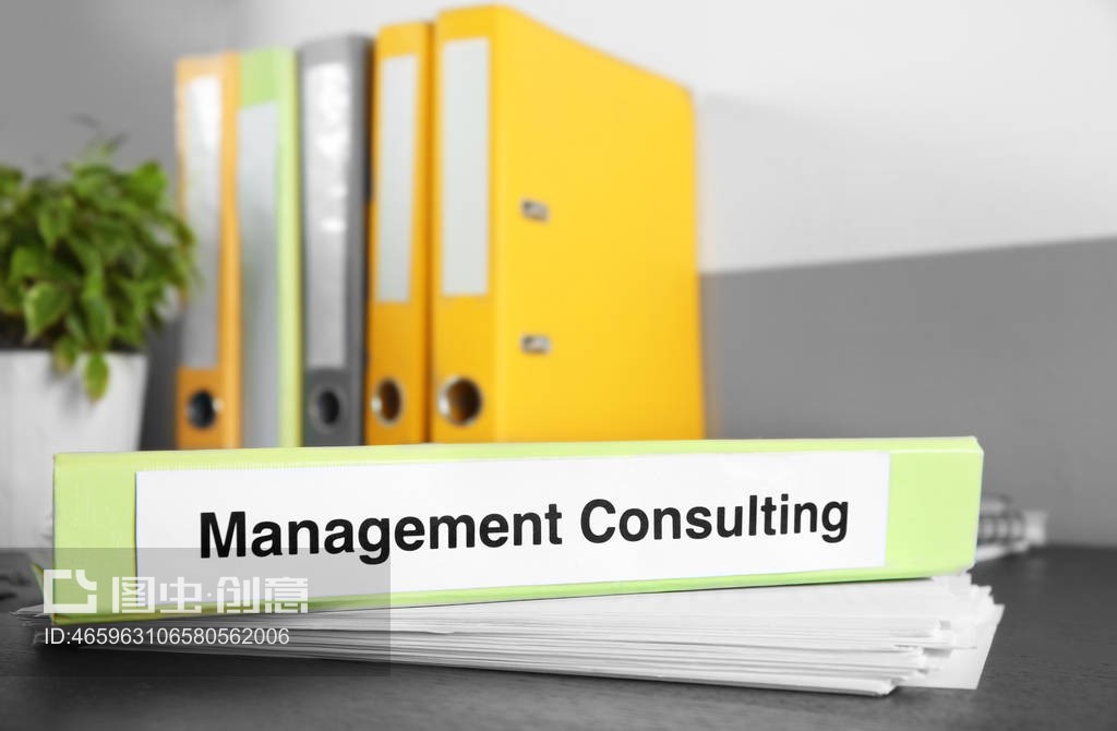 带标签管理咨询文件夹Folder with label MANAGEMENT CONSULTING