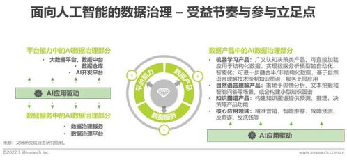2022年中国面向人工智能的数据治理行业研究报告