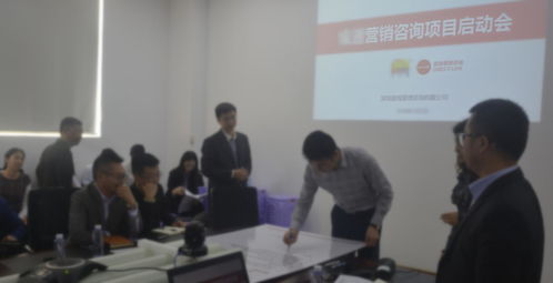 直线管理咨询案例赏析 打造cb电子四维营销系统