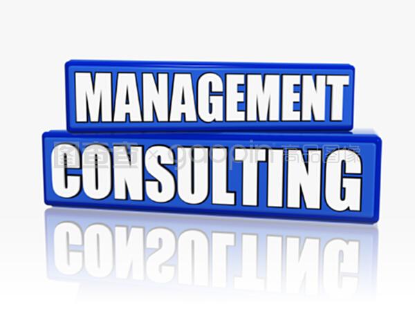 蓝色区块的管理咨询 战略规划与效率提升的融合之道